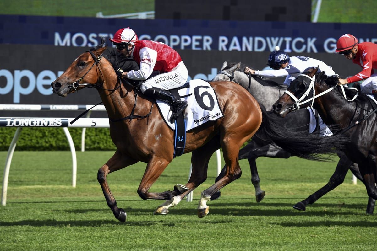 Lion ready to roar at Randwick