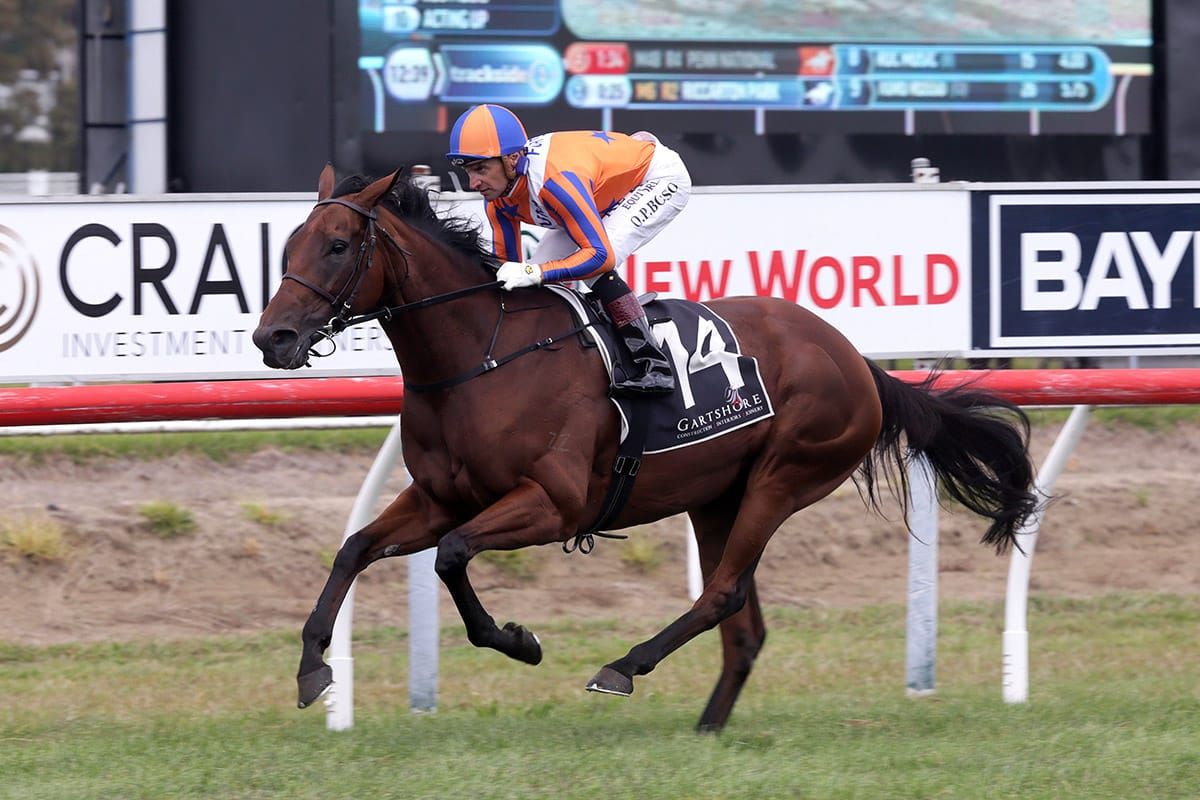 Melody Belle cleared for Tancred