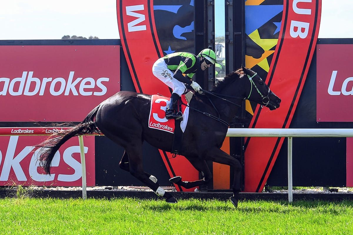 Phelan taking a step back from riding