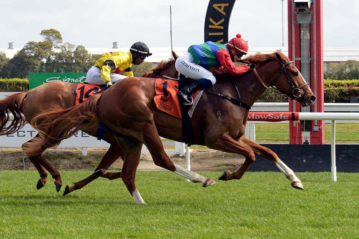 Local trainers eye Hastings spoils
