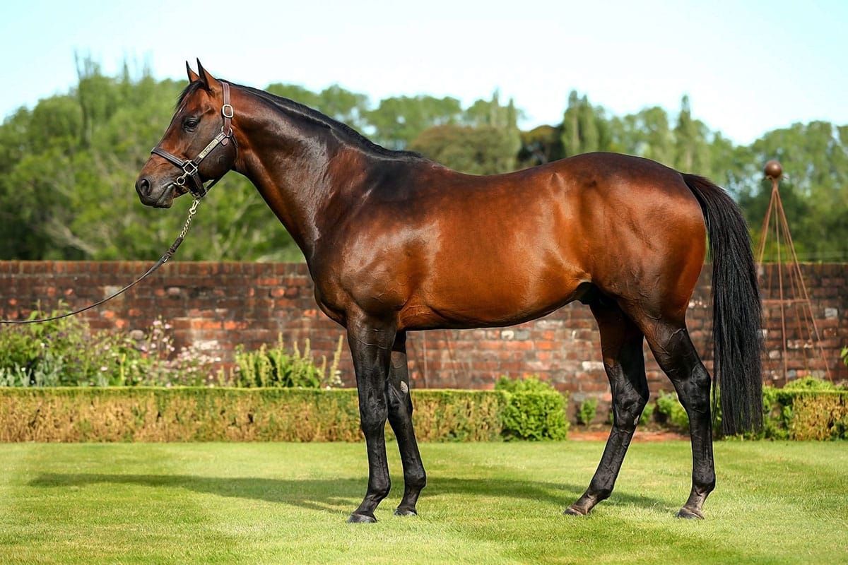 Little Avondale announce 2021 service fees