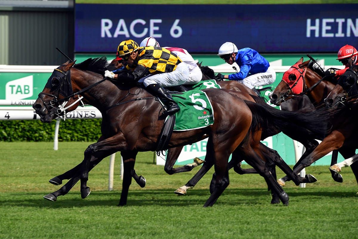 Richards shakes off frustrating day at Royal Randwick