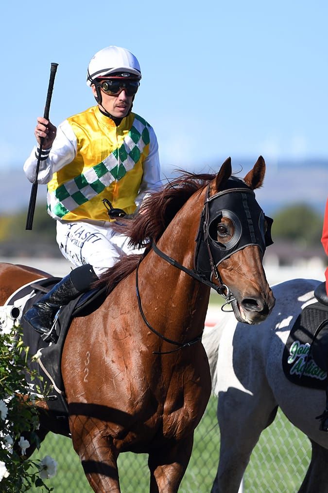 Vendors positive in South Island Sale countdown