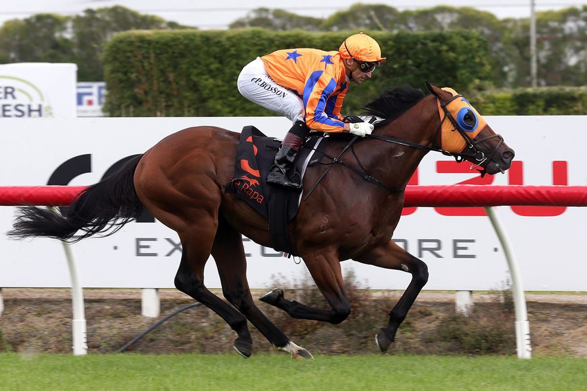 Sword Of State misses trial