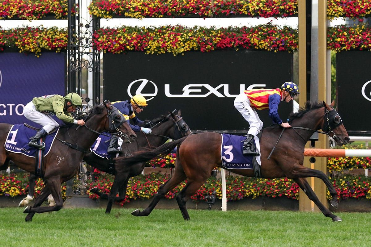 Through Irish Eyes heads New Zealand-bred trifecta in VRC St Leger