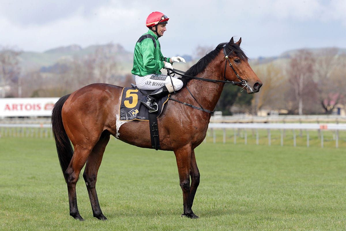 Turn The Ace a sentimental favourite for Baker