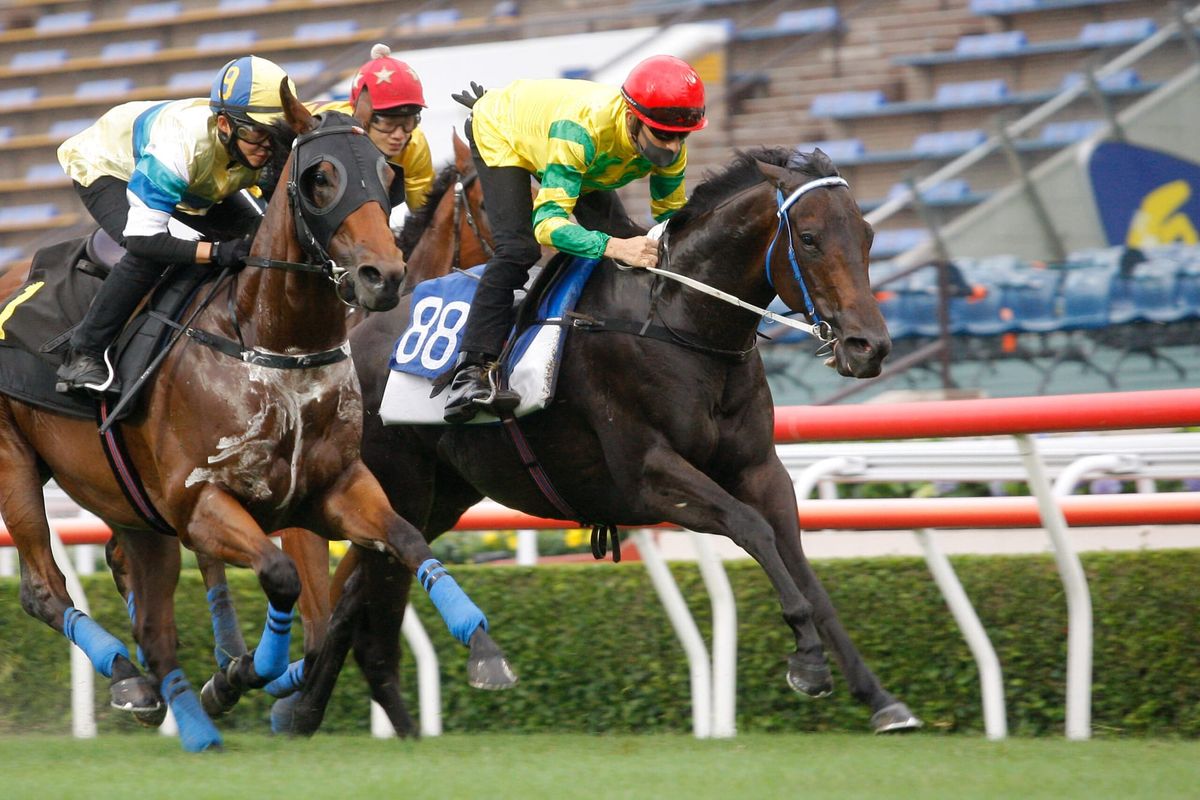 Sky Darci satisfies Moreira