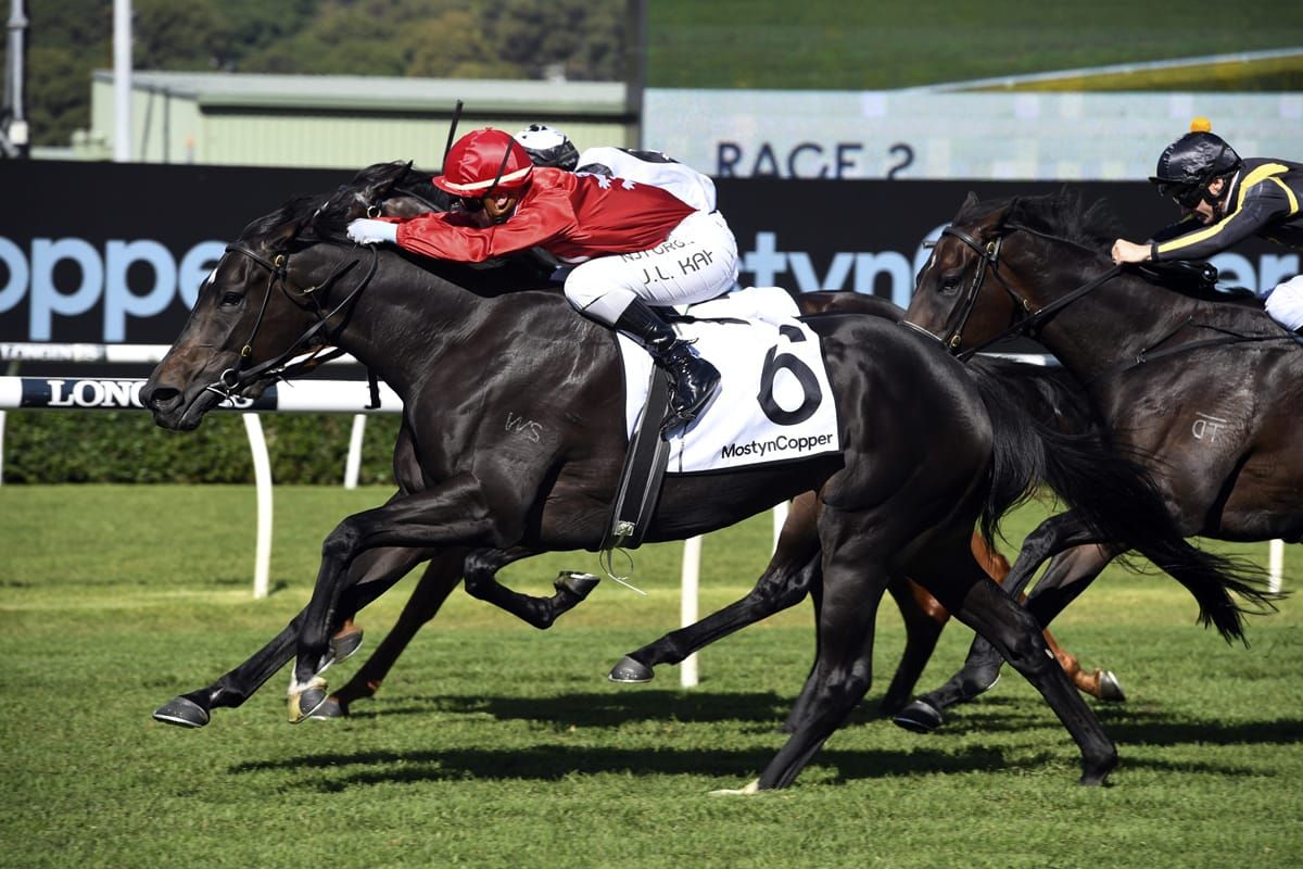 O’Shea pair ready for Gosford challenge