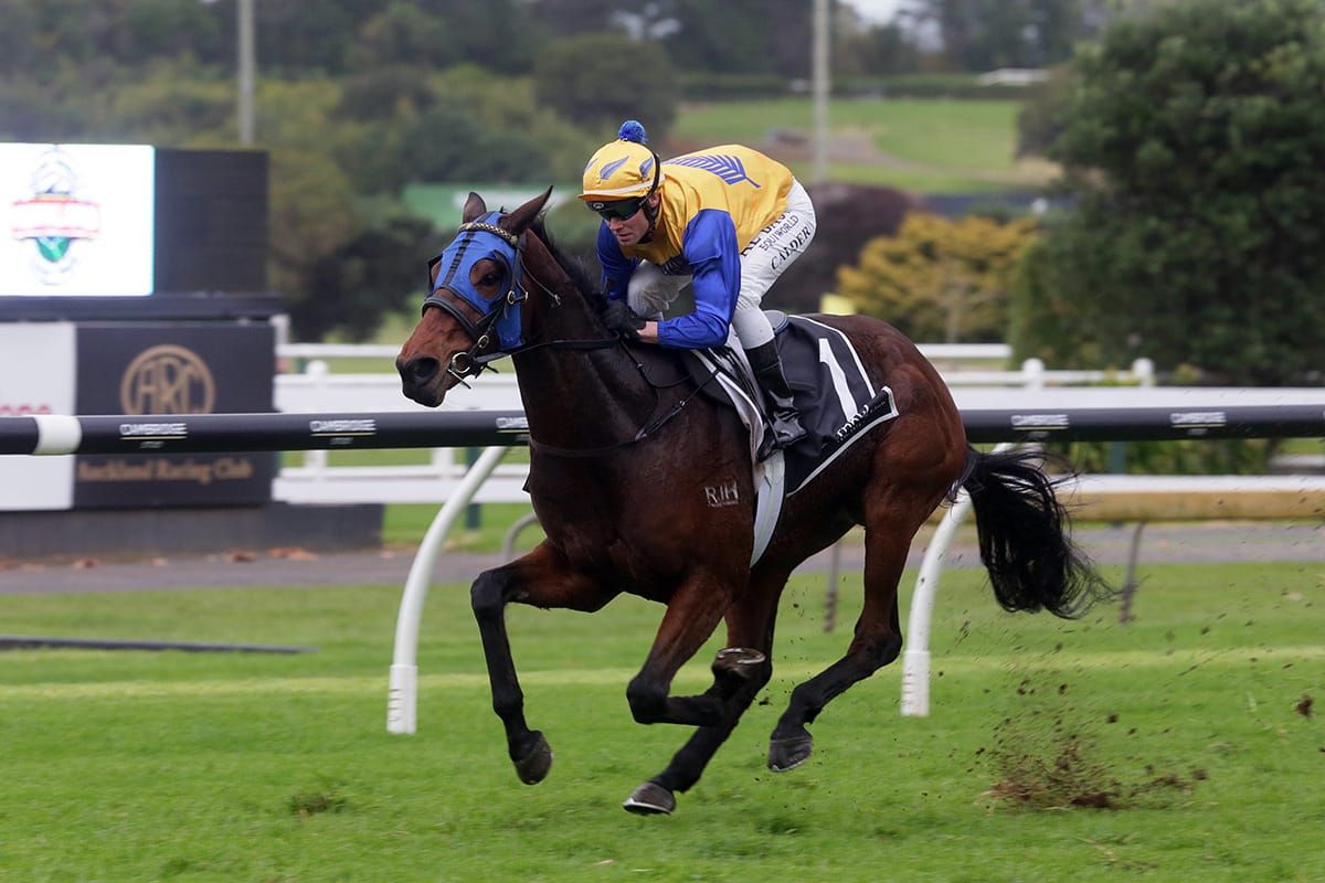 Atullibigeal gains measure of revenge in Futurity Stakes