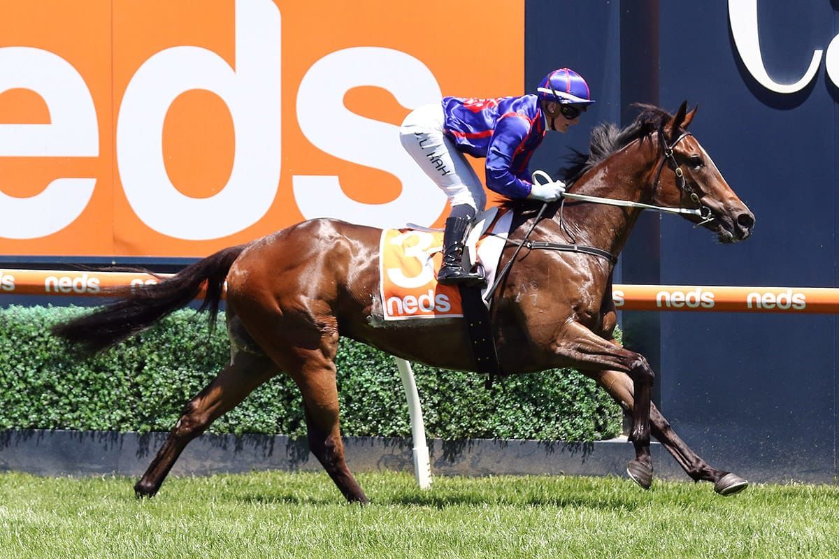 Travel no concern for Ayrton