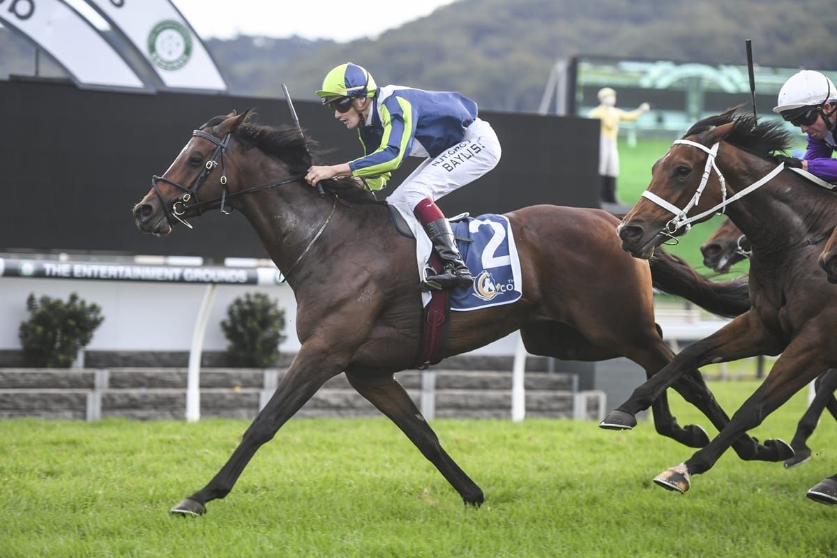 Sargent buoyant ahead of Doomben Cup