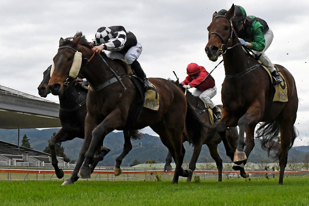 Collinstreet provides more good news for Sharrock