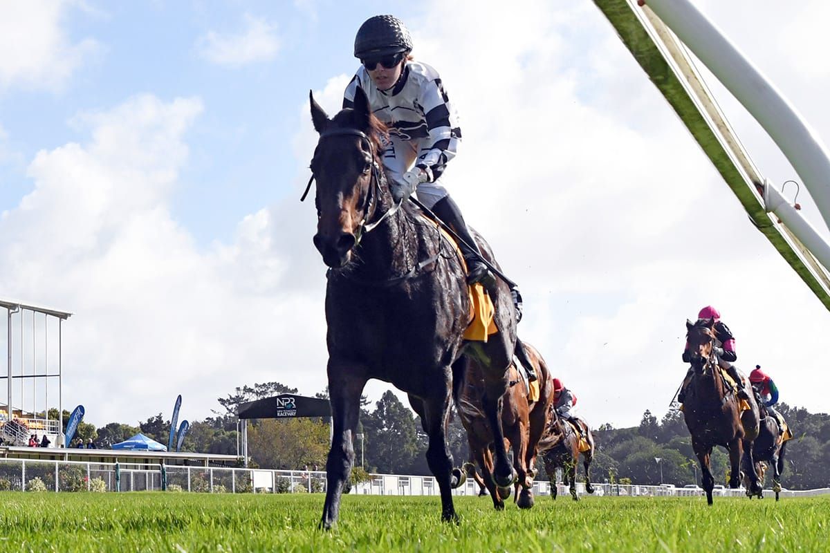 Sharrock duo quinella opening race at New Plymouth