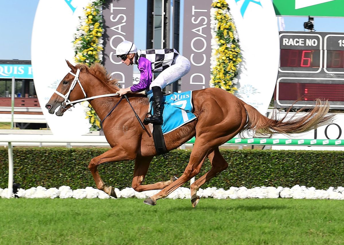 Bracelet trifecta for Waller