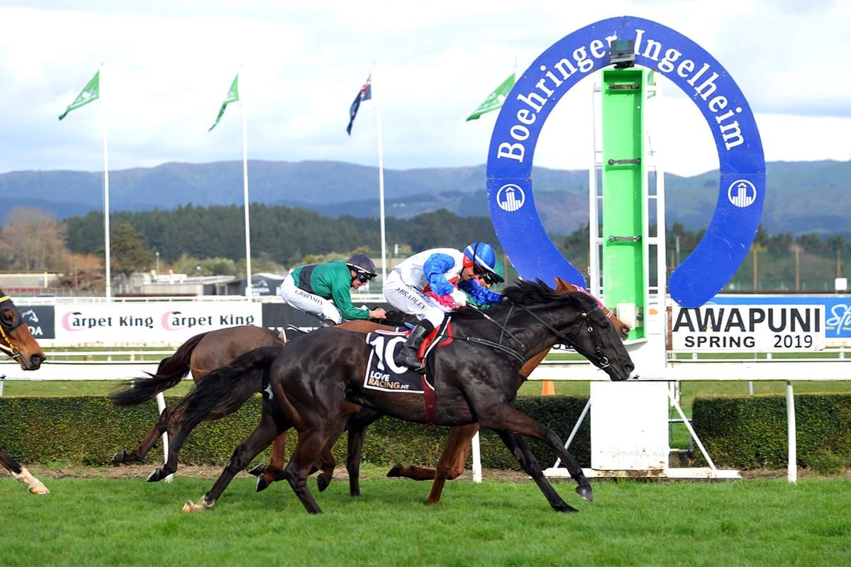 Herengawe makes New Zealand return