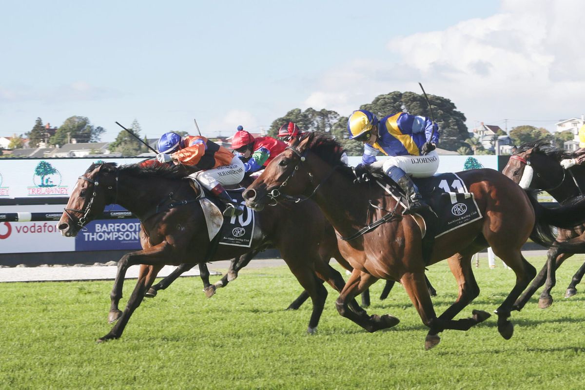 Derby tilt likely for Hezashocka