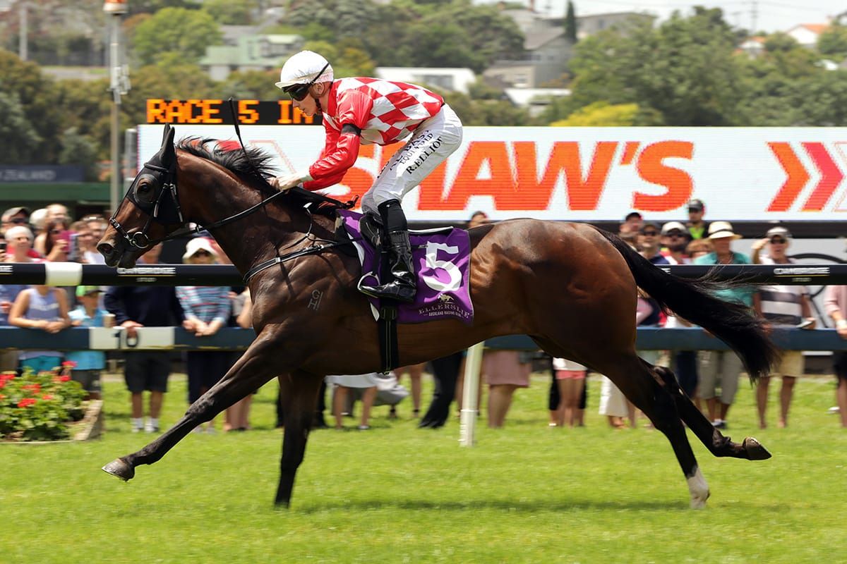 Two-state Australian focus for James and Wellwood