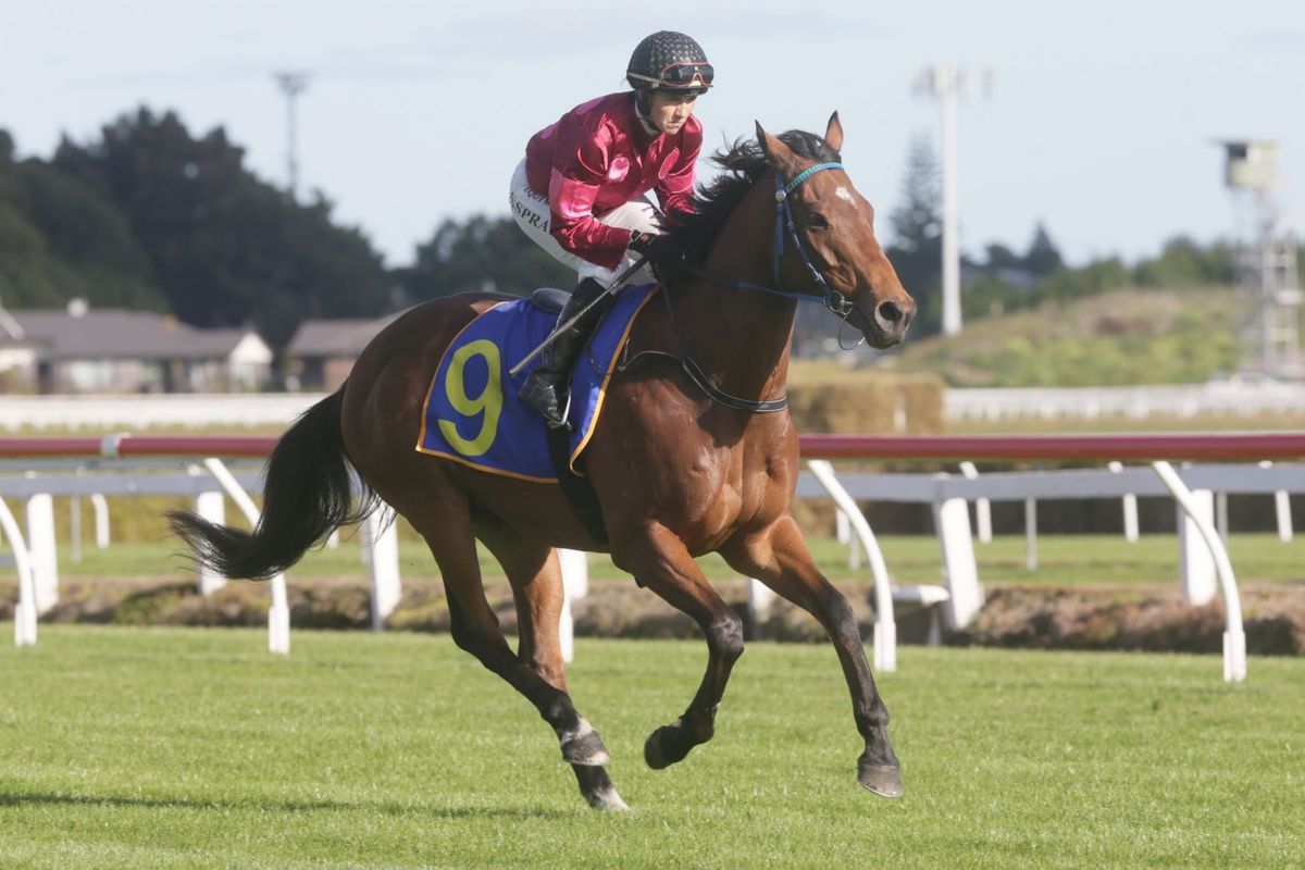 Northland trainer overcoming COVID hurdles