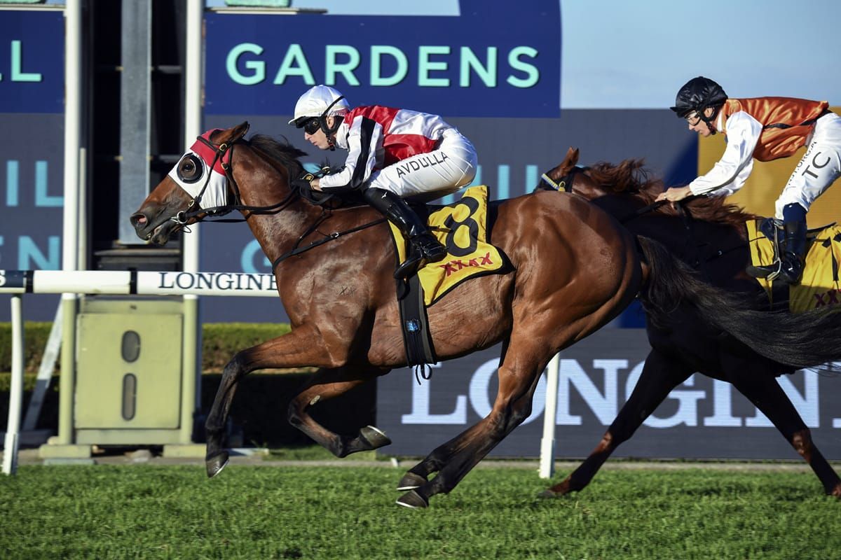 Avdulla steers Kirwan’s Lane to Rosehill win