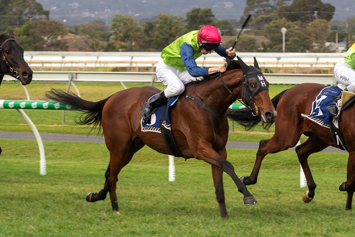 Heptinstall has ambitious plans for Lord Vladivostok