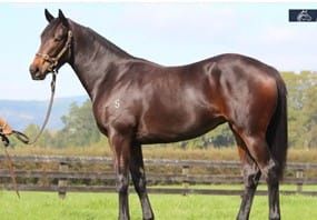 Rugby, Racing & Beer