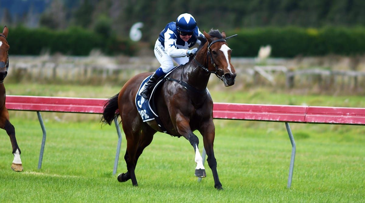 Miss Ricky Bobby back to winning form at Woodville