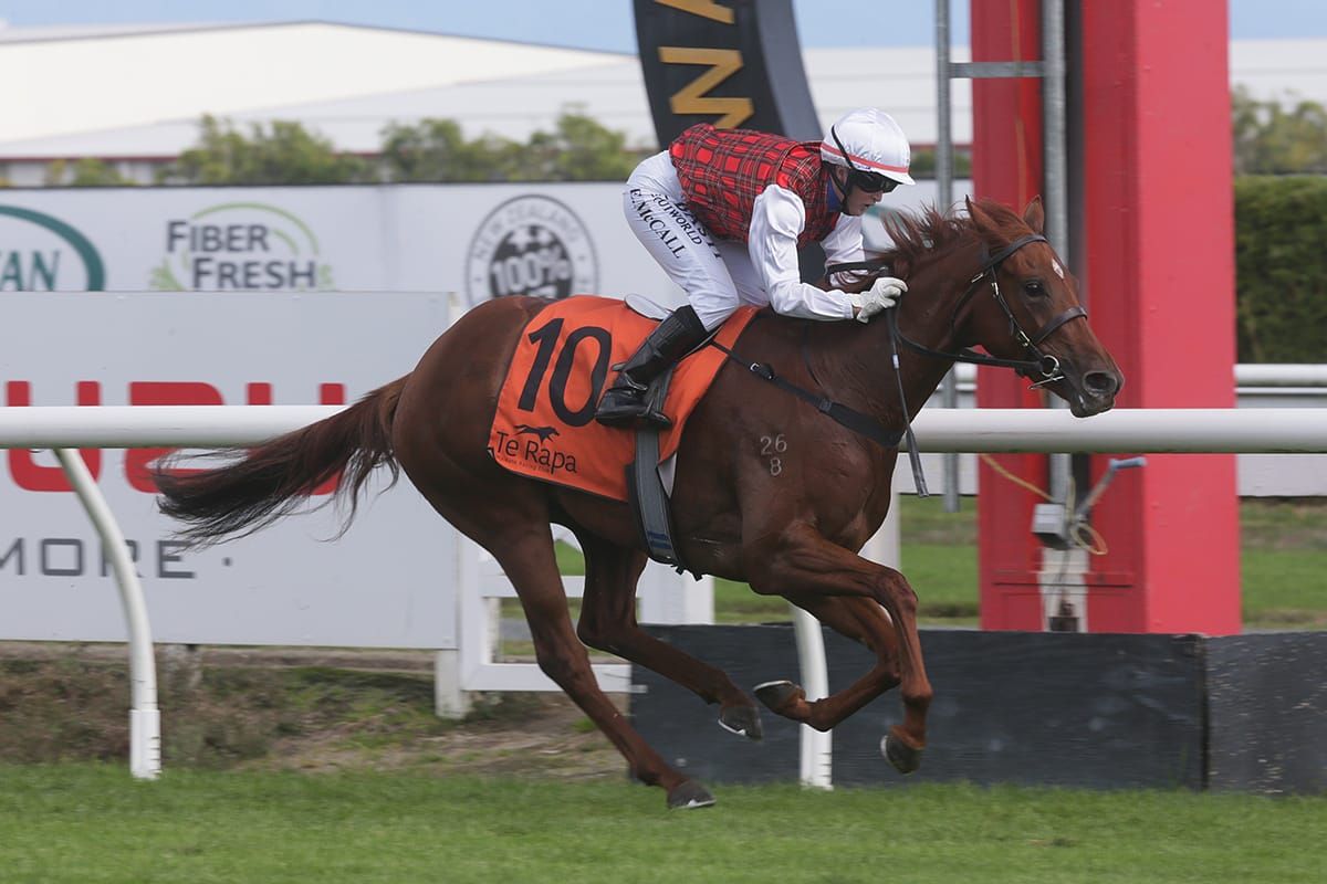 Repeat dose sought for Musigny Lass at Te Rapa