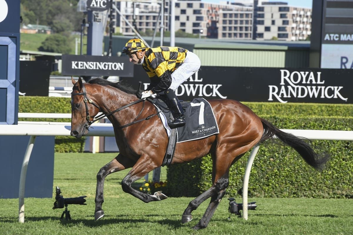 Pike quartet Queensland bound