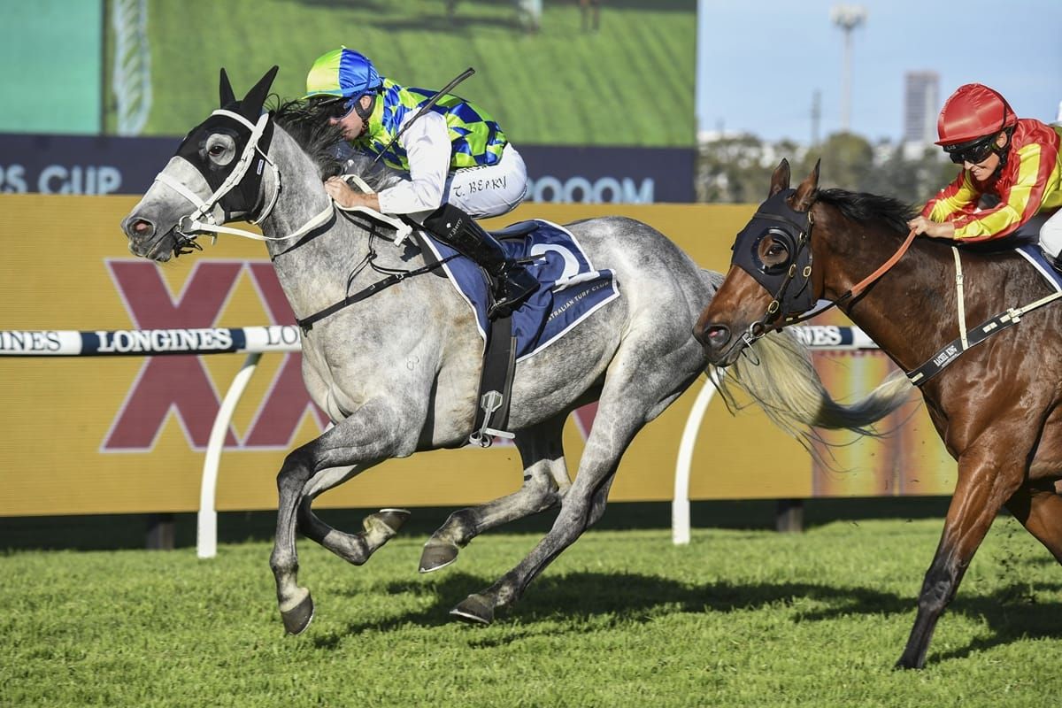 Polly runs a cracker to snare Cup