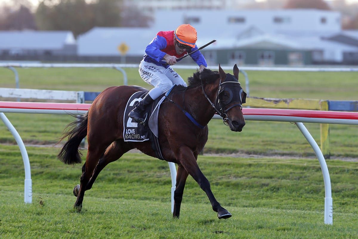 Daring ride secures royal result in Rotorua feature