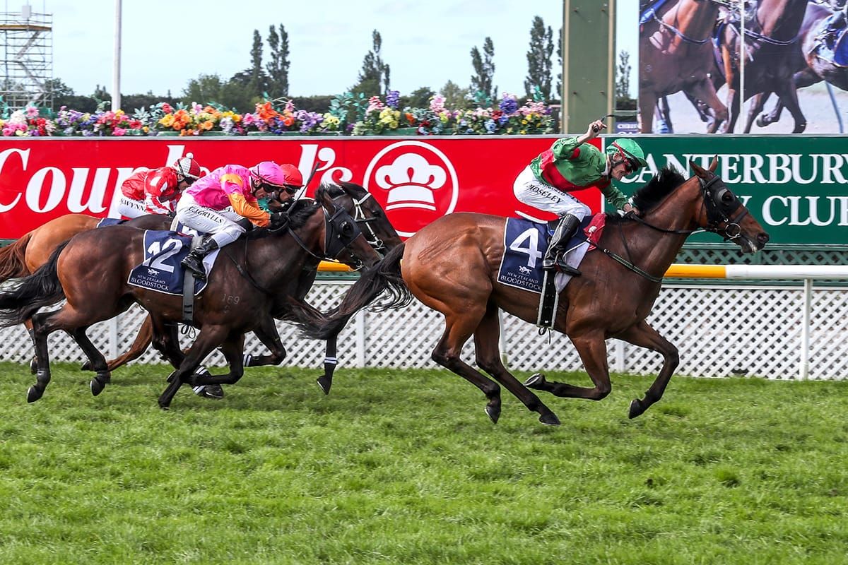 Rae hunts Great Easter chocolates