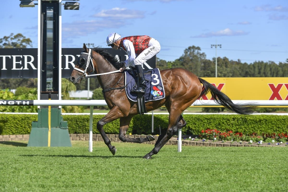 Breakthrough win for Contributer 3YO