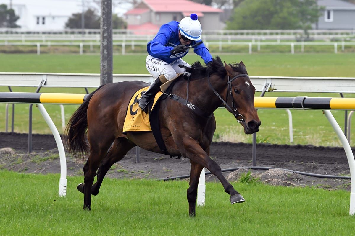 Satherley hot on Supreme Heights for Rotorua feature