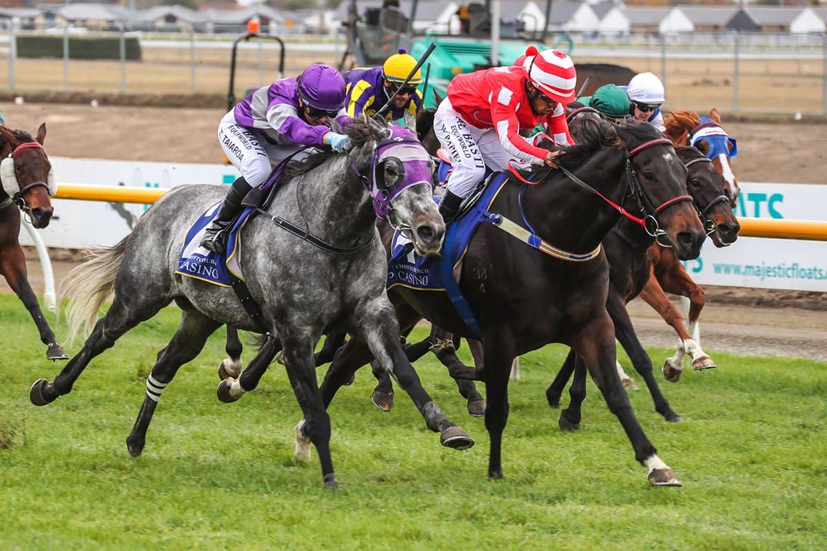 Blackadder drawn north with Tellyawhat