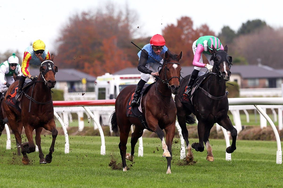 Promising filly to step up at Te Rapa