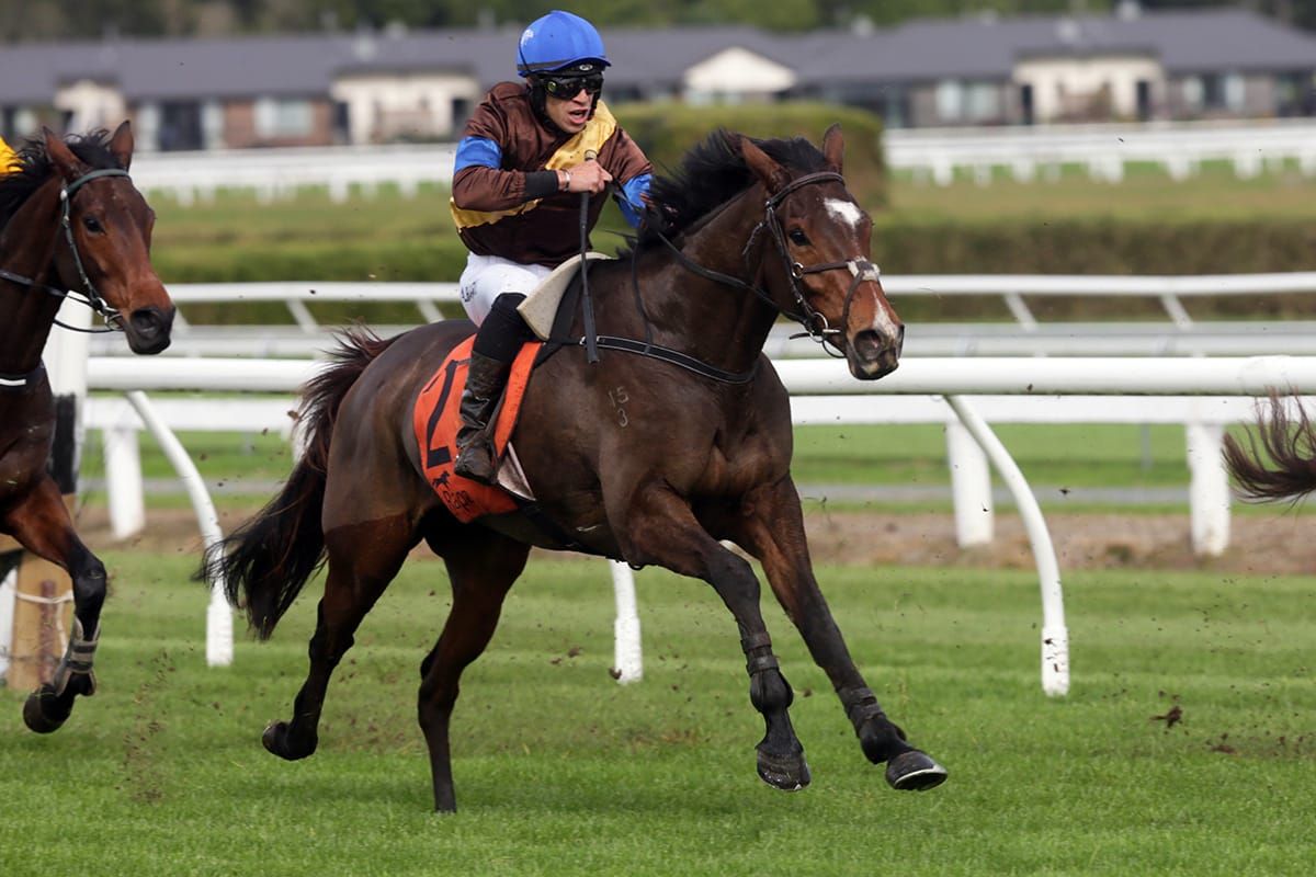 The Cossack marches home at Te Rapa