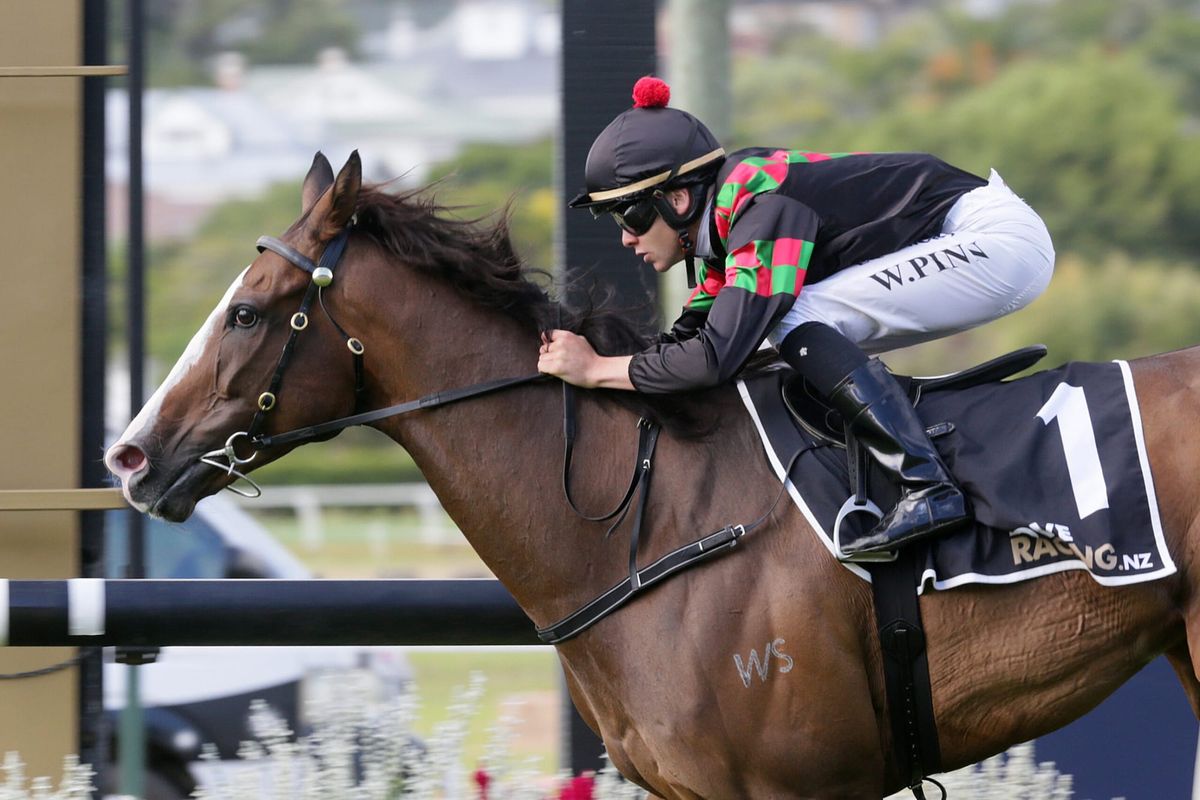 Tiptronic to spell in Queensland