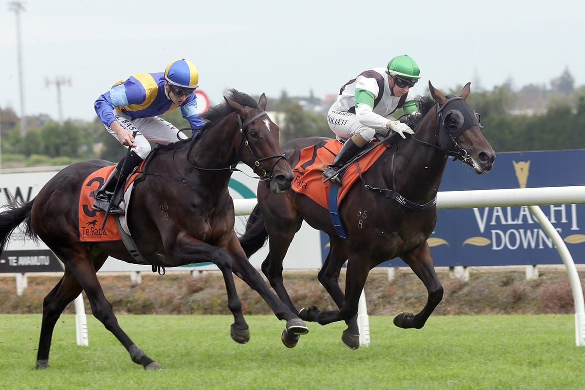 Turn The Ace takes out Te Rapa feature