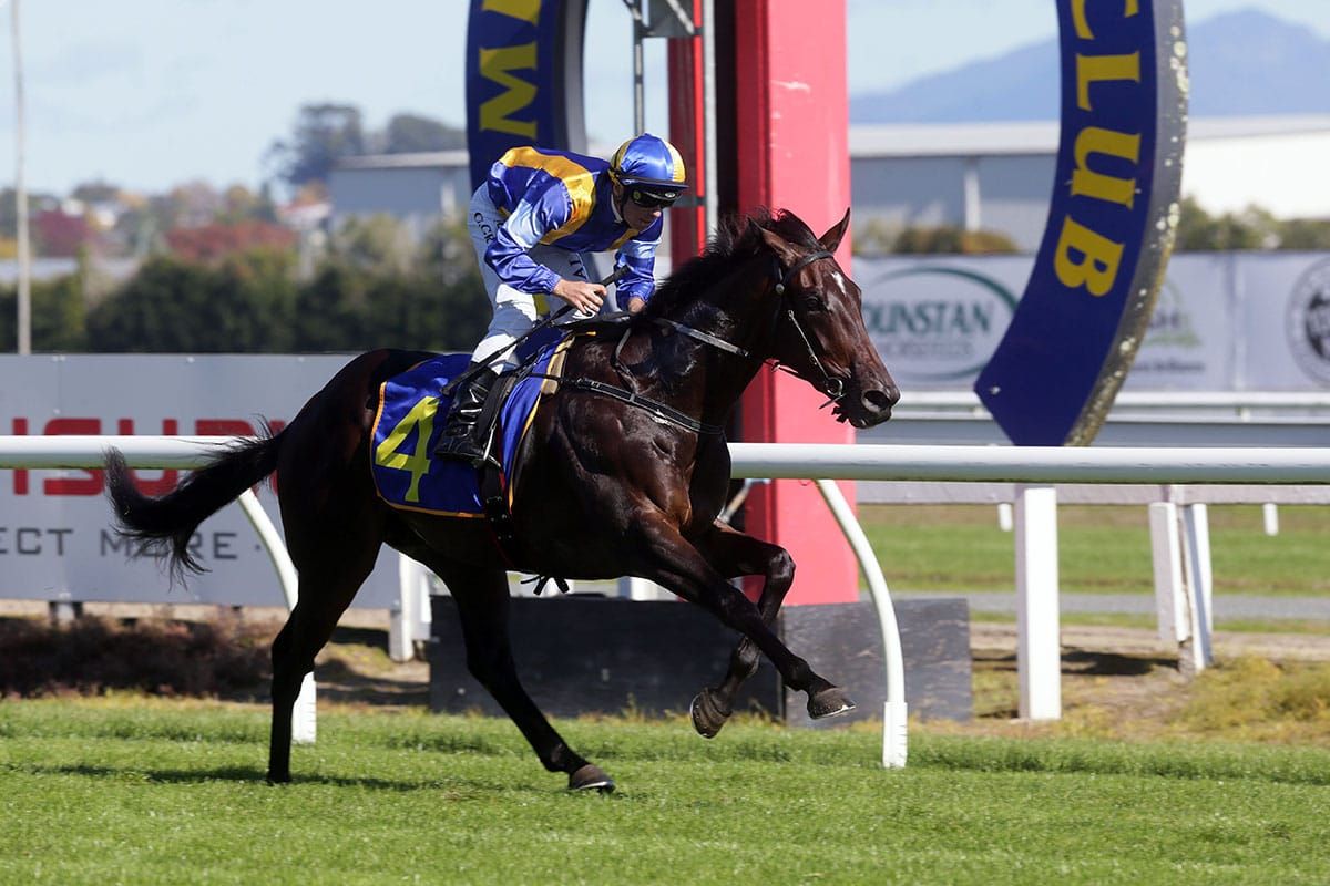 Turn The Ace goes one better than illustrious father