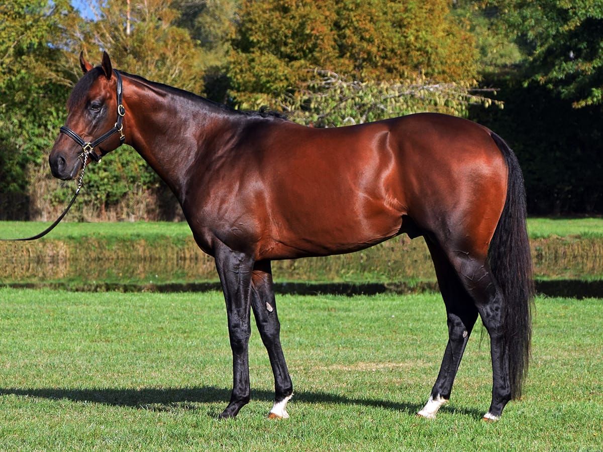 War Decree fee unchanged