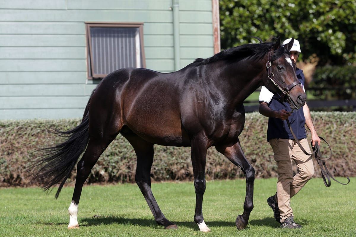 Highview Returns to Boutique Operation