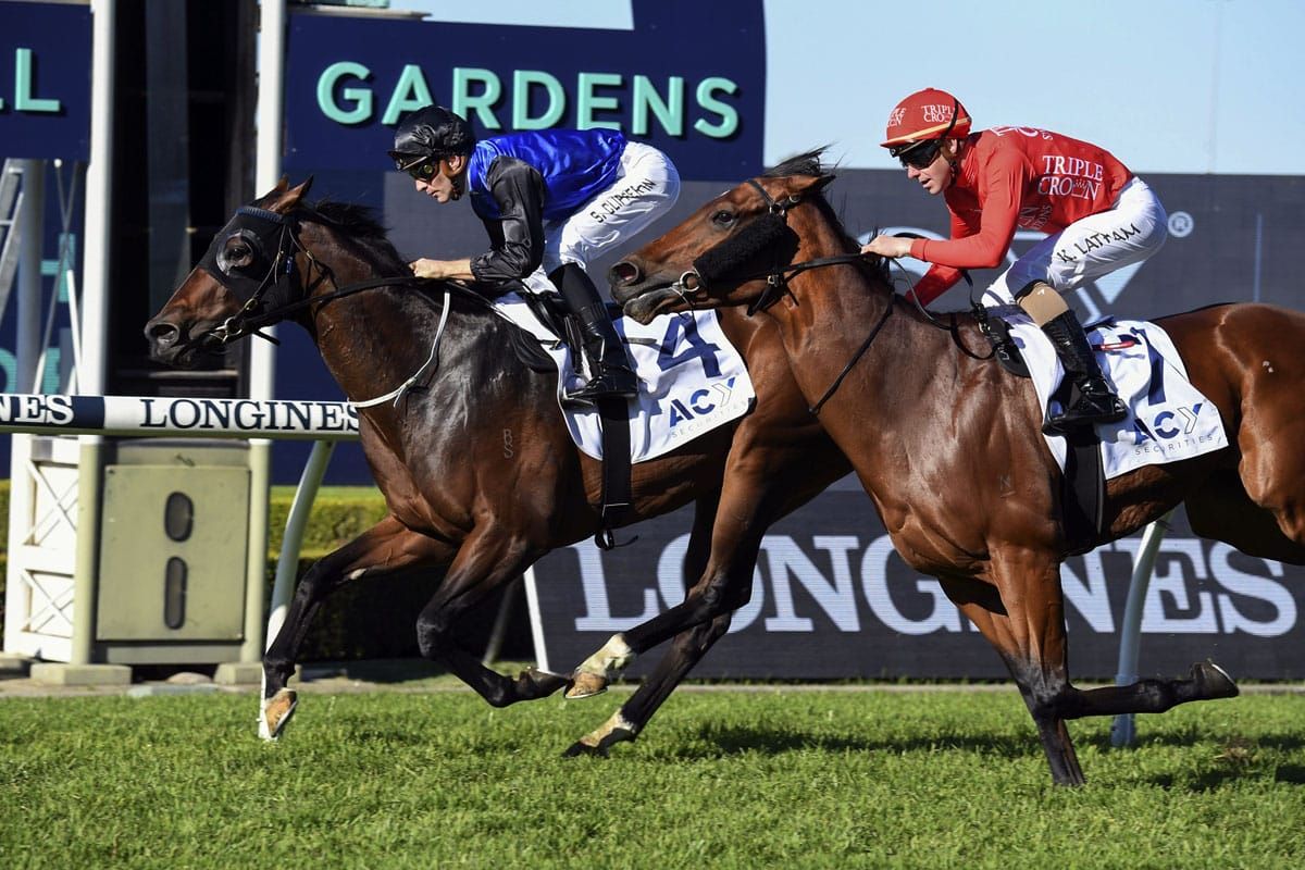 Per Incanto gelding prevails at Rosehill
