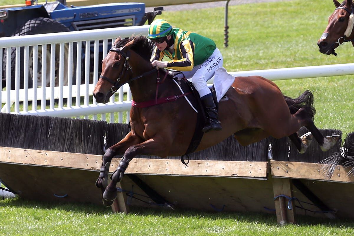 Australian Grand Nationals await promising jumper