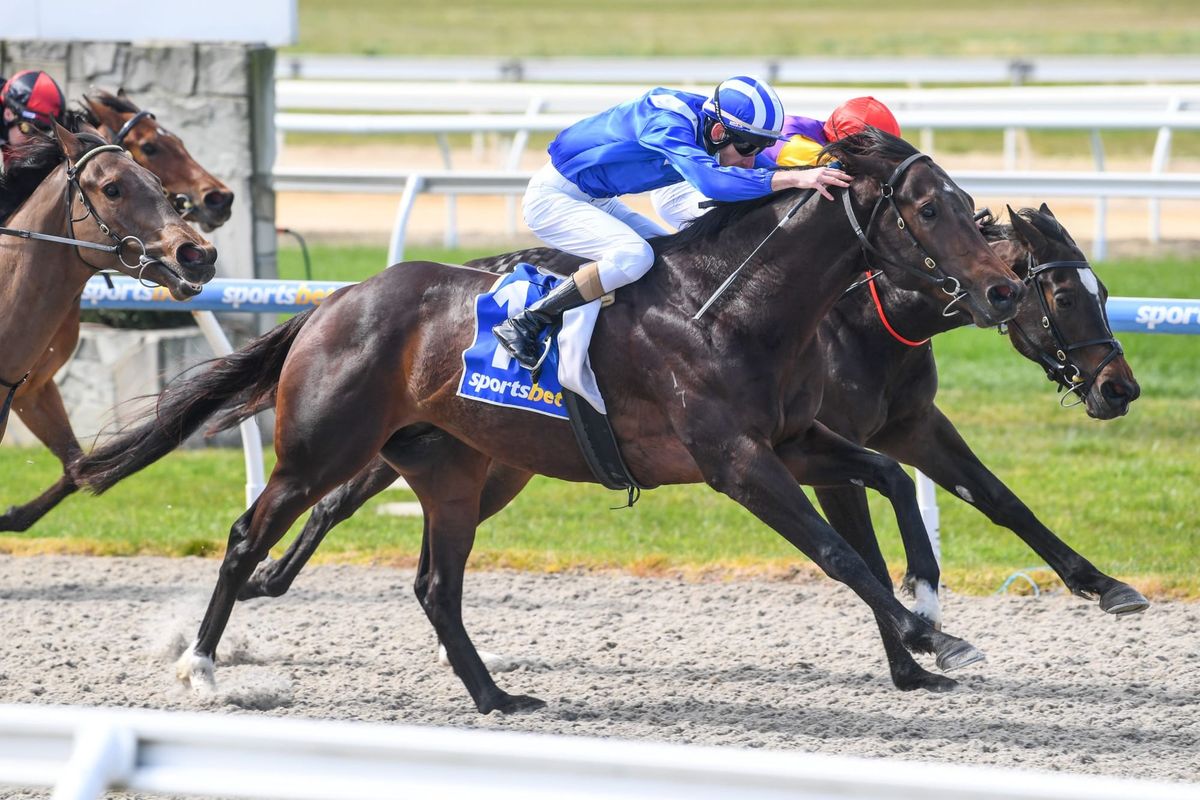 Time For Albukhturi To Step Up In Guineas