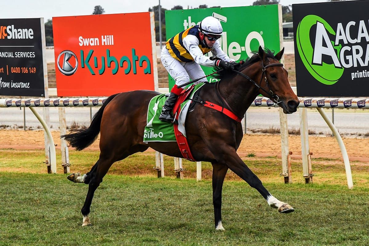 Almsgiver scores maiden win