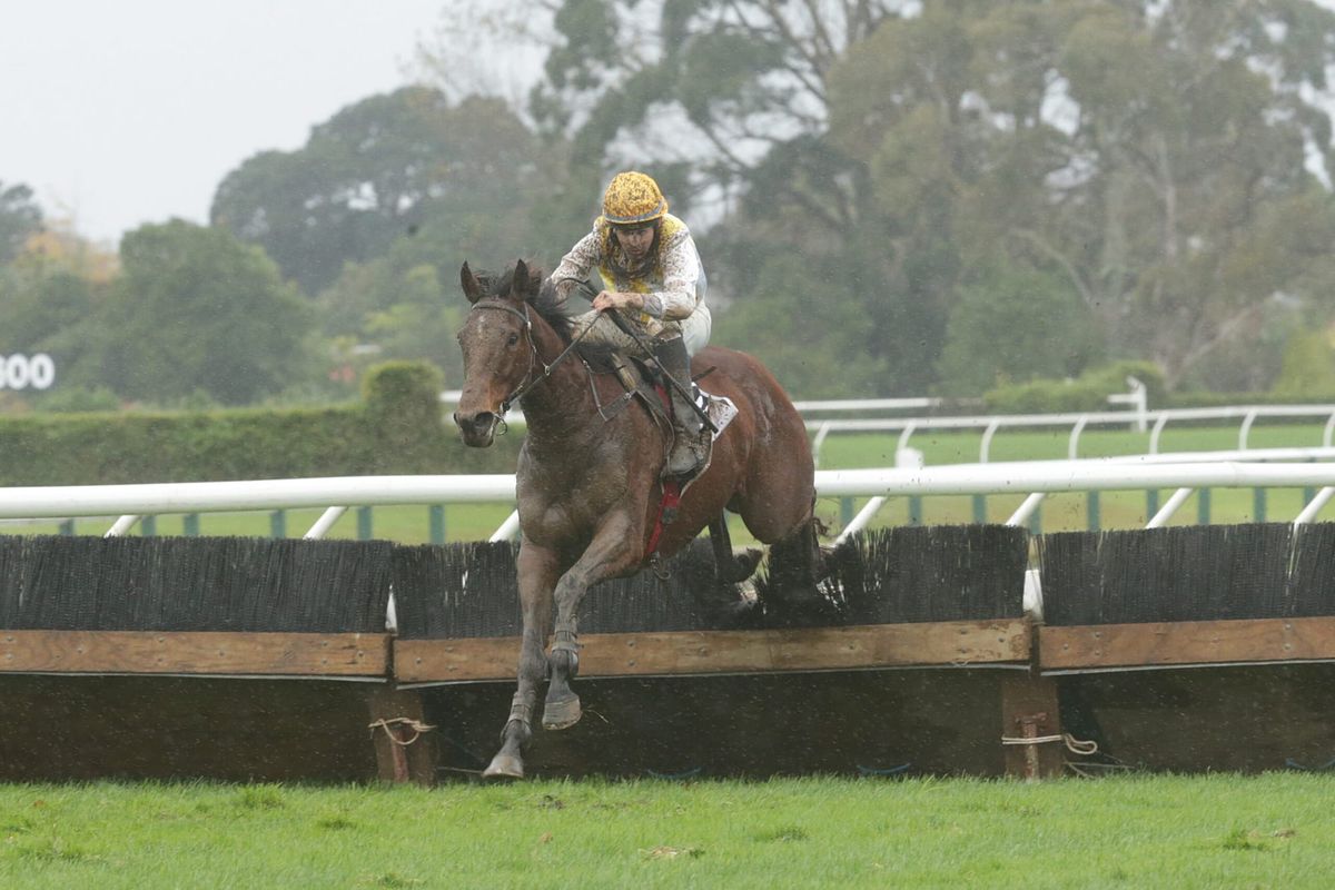 Johnny thinks jumping caper is Arite