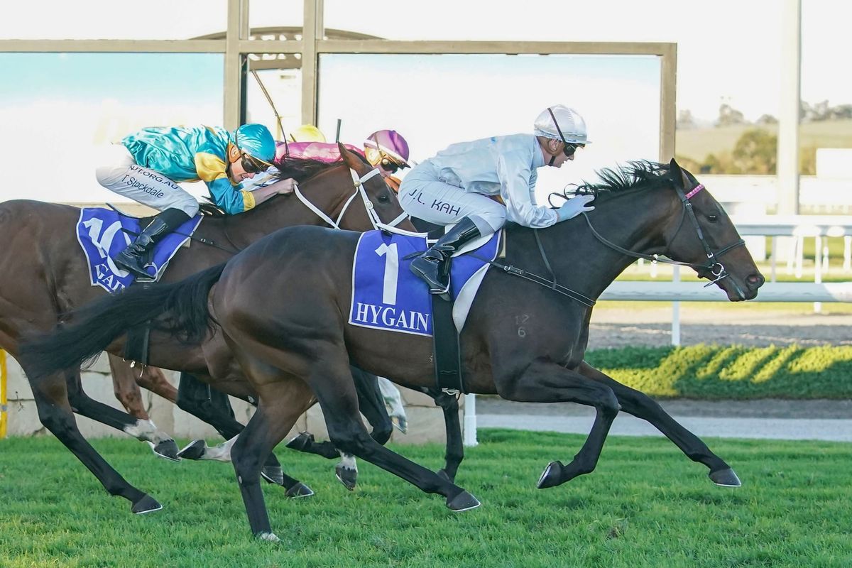 Bermadez after hat-trick at Sandown