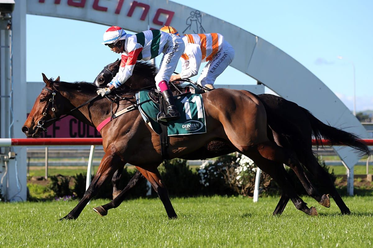 Pukekohe victory makes long journey worthwhile