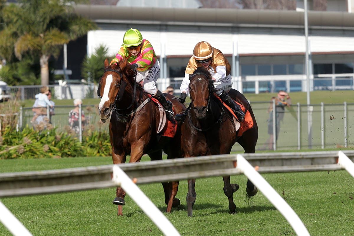 Bishara doubles up at Te Rapa