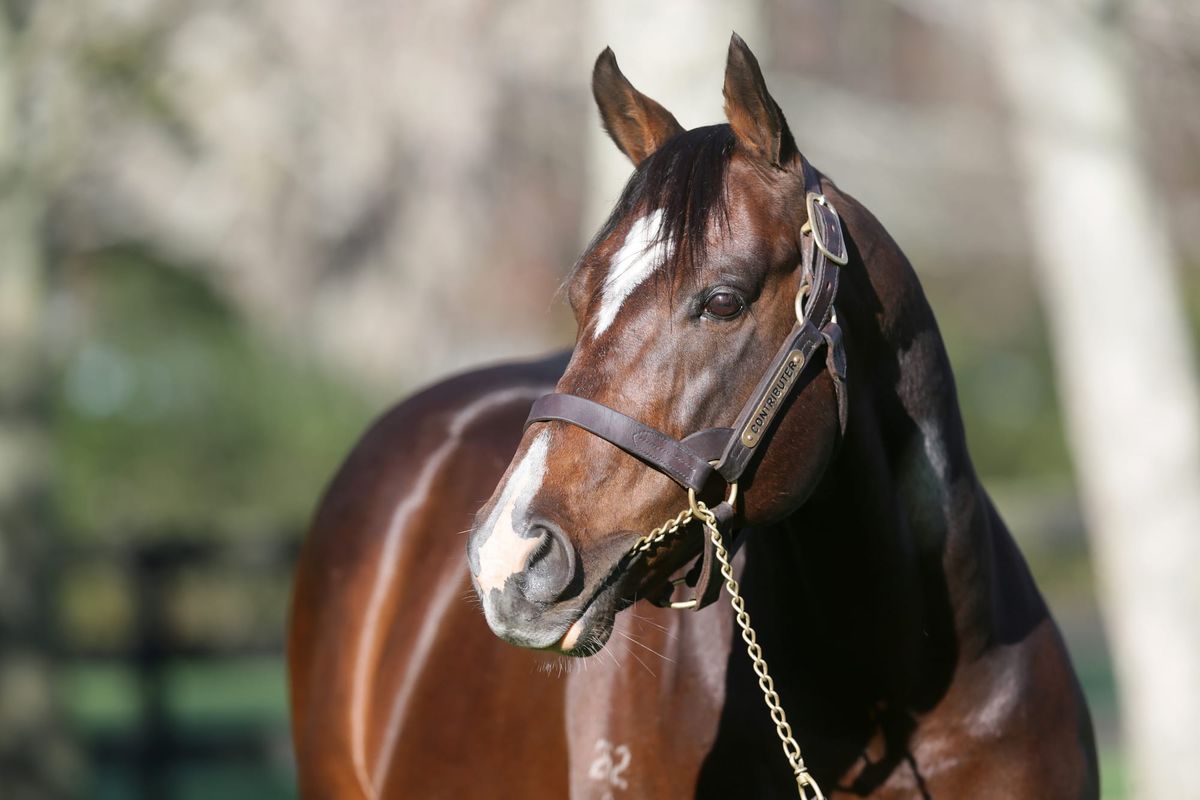 Contributer making his mark in Hong Kong